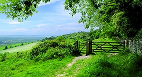 Countryside management scene