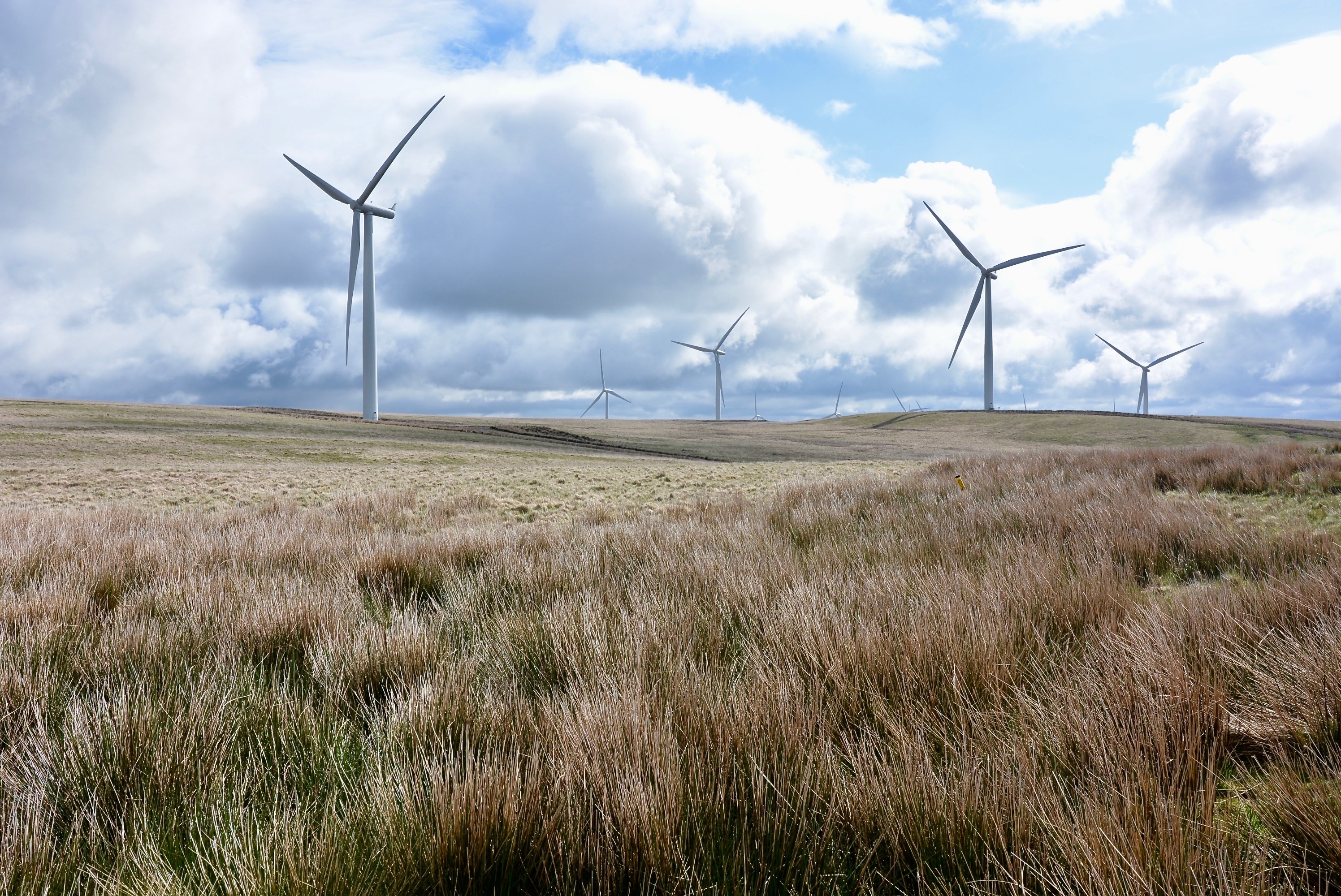 Wind farm