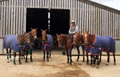 Horses at Fossehill Farm
