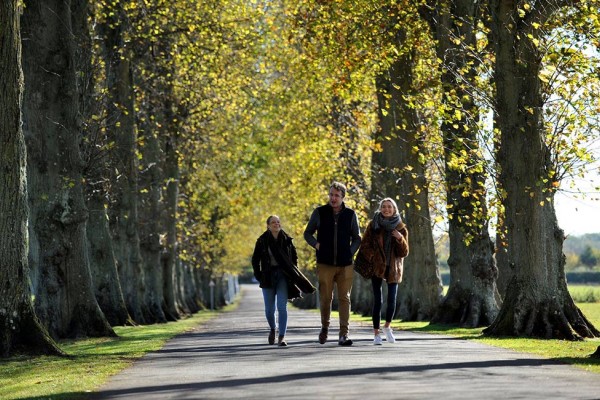 Students walking down RAU drive