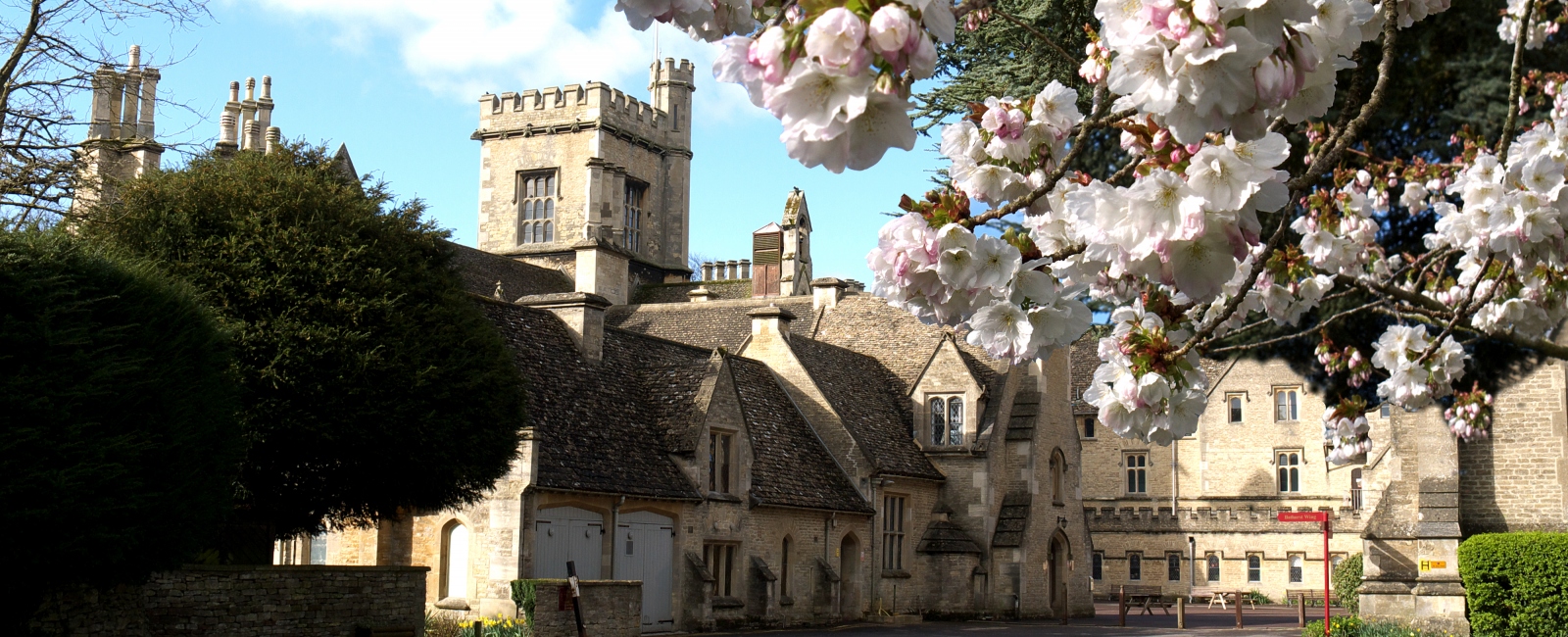 Main building with blossom in foreground