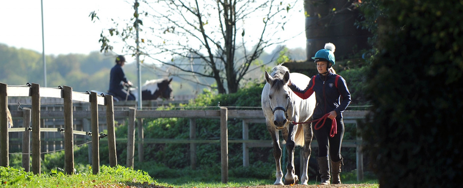 Student leading horse at Fossehill