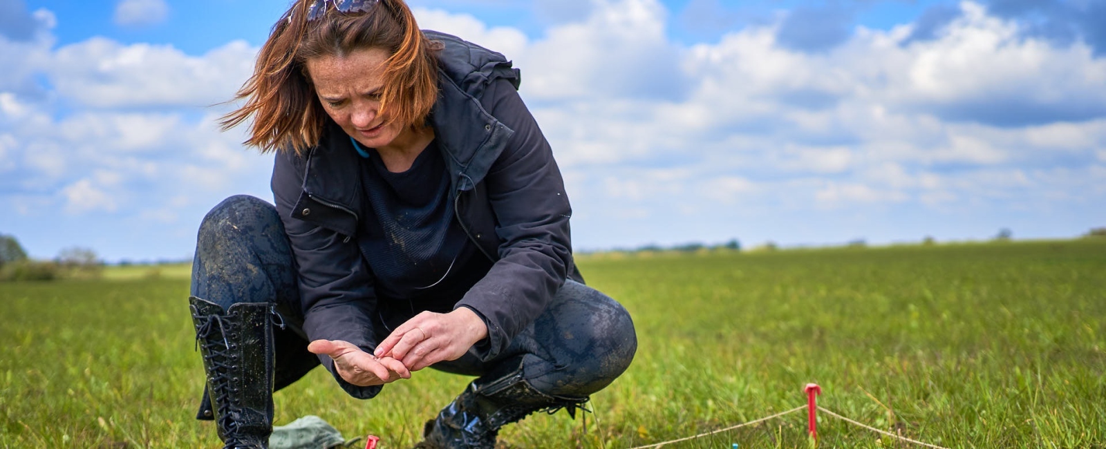 Researcher in field