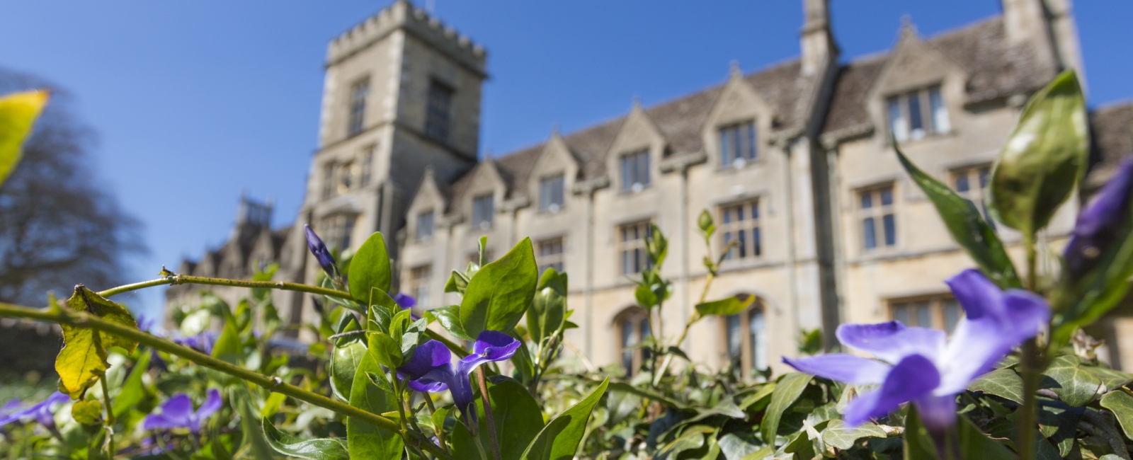 Main RAU building with flowers in foreground