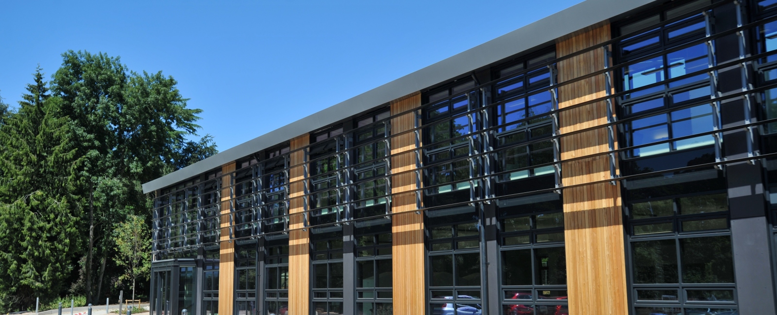 Growth Hub