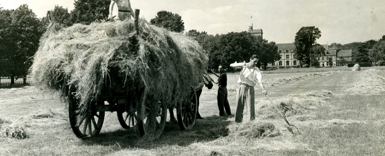 Students making hay in 1935