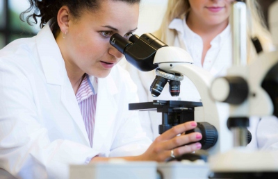 Student using microscope