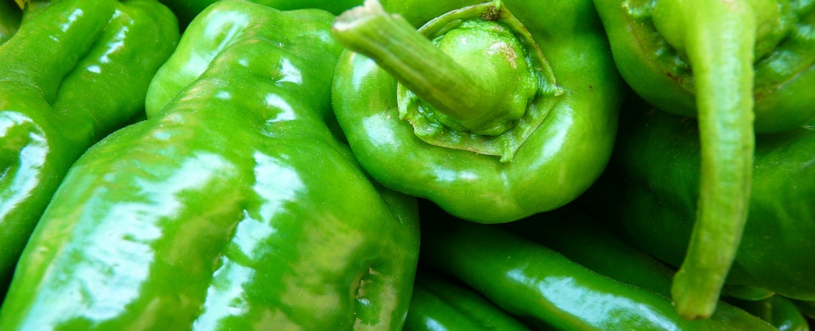 Paprika peppers