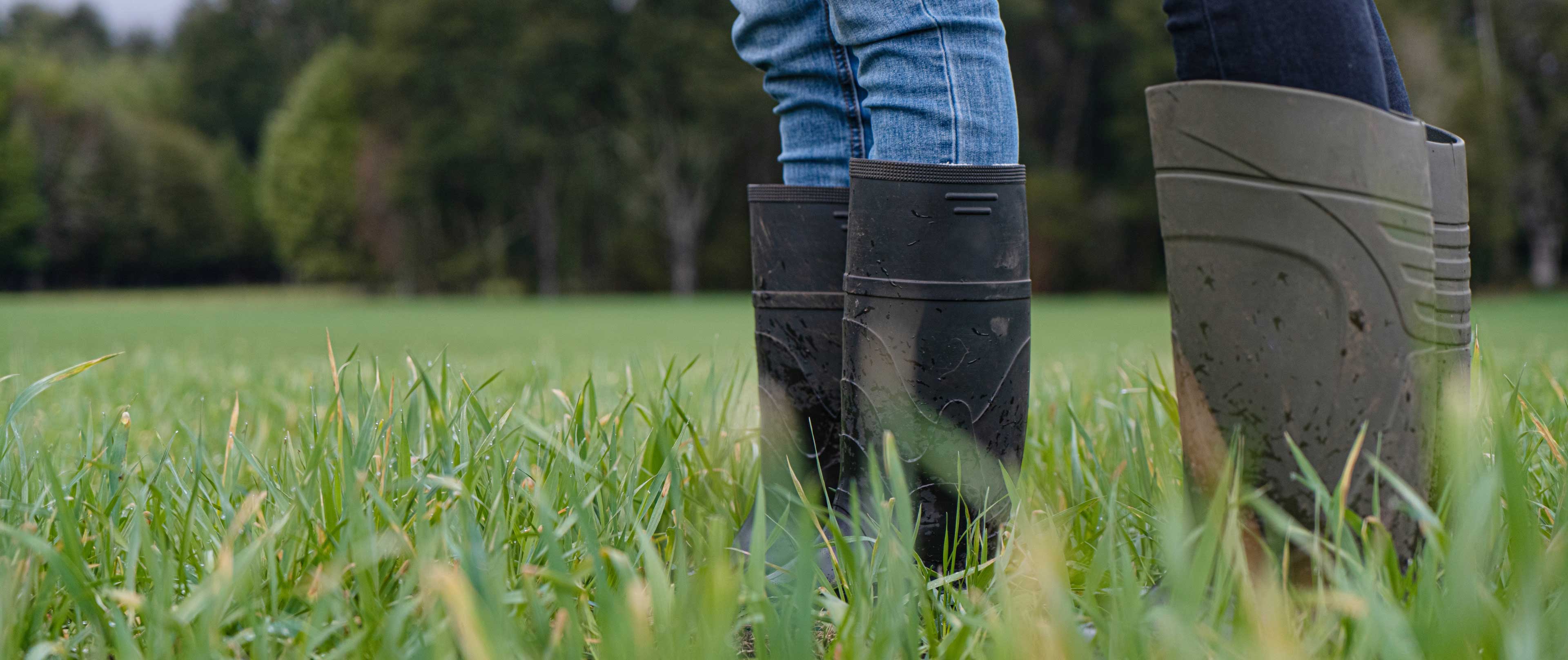Two people wearing wellington boots in a field