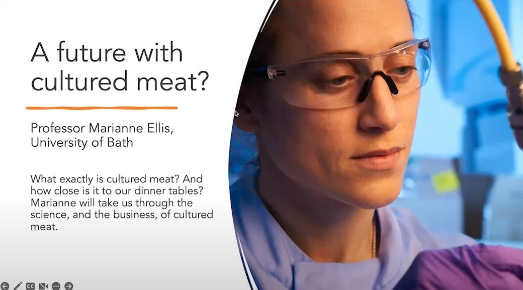 A future with cultured meat webinar image