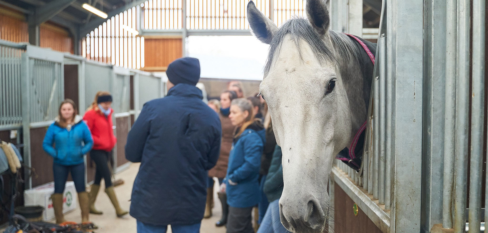 Horse and students in a stable