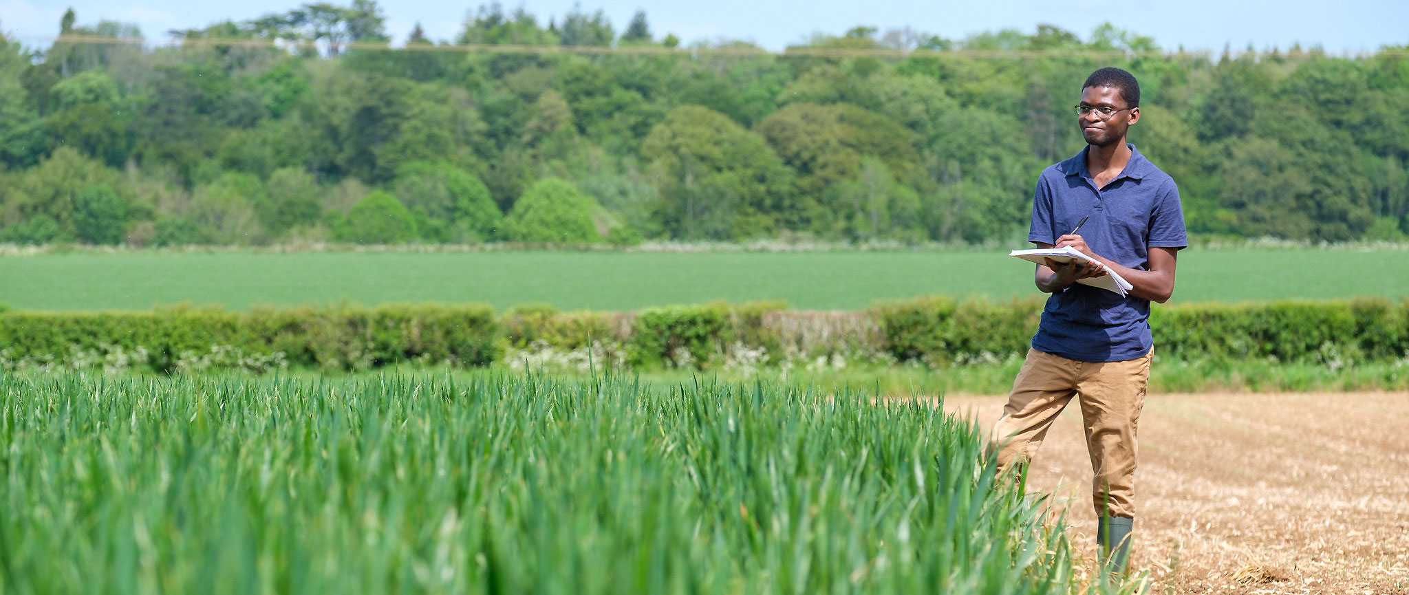 Student with notebook looking at a field of crops