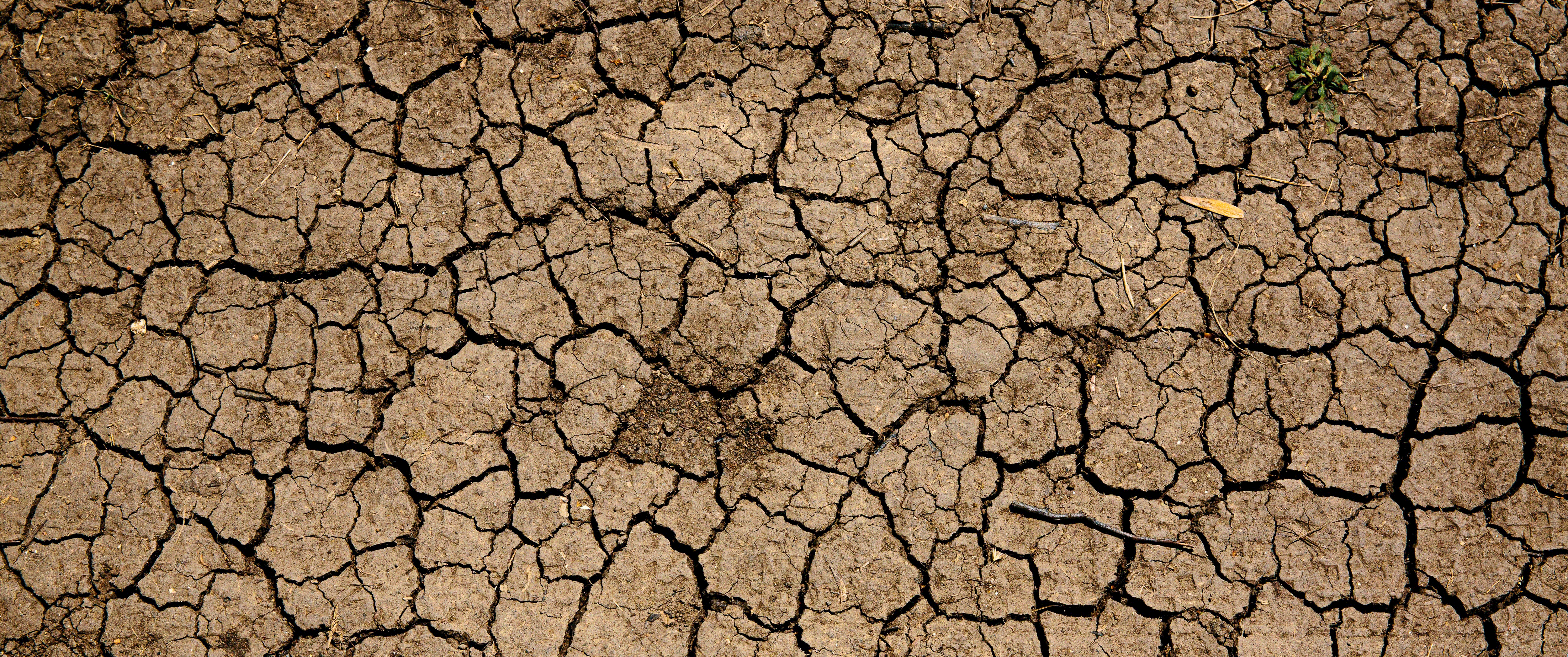 Parched, dry earth