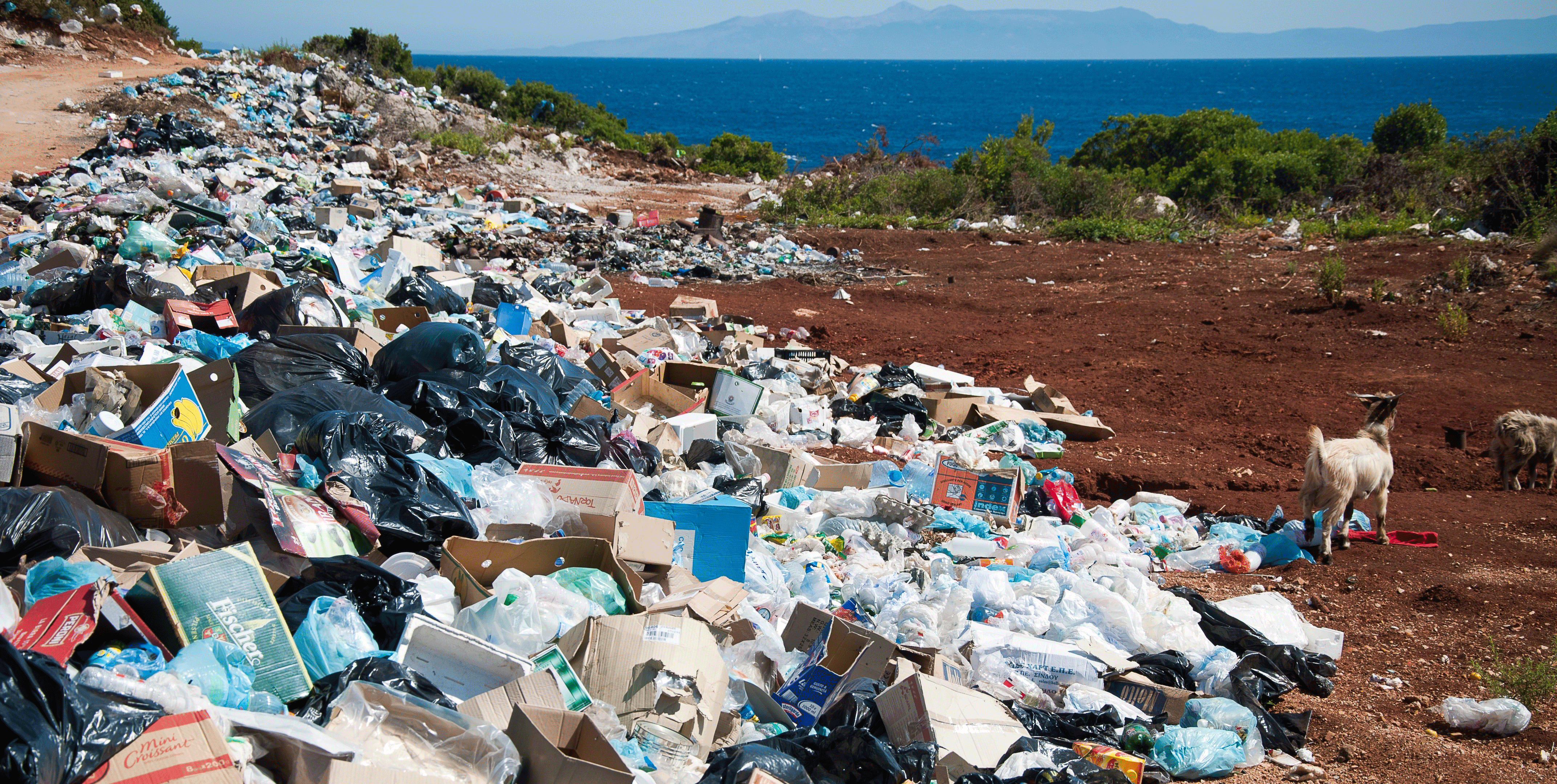 Piles of plastic waste on roadside