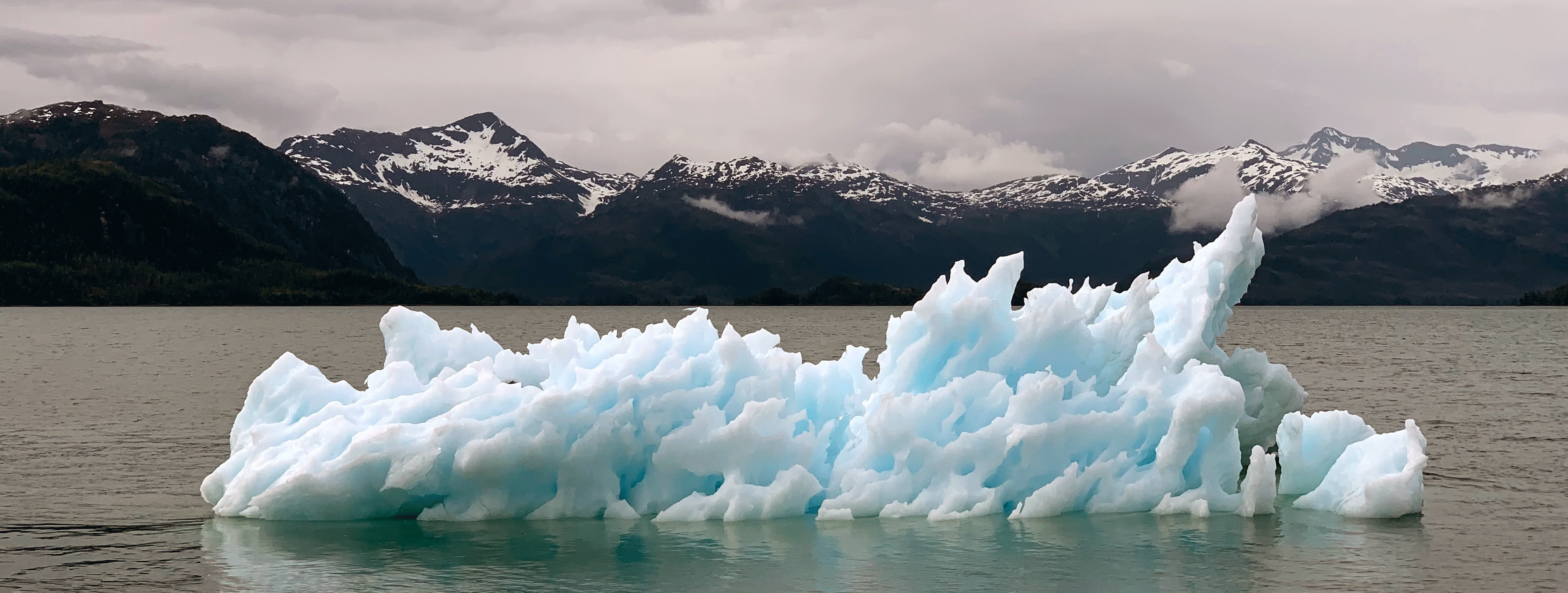 Iceberg floating in the sea