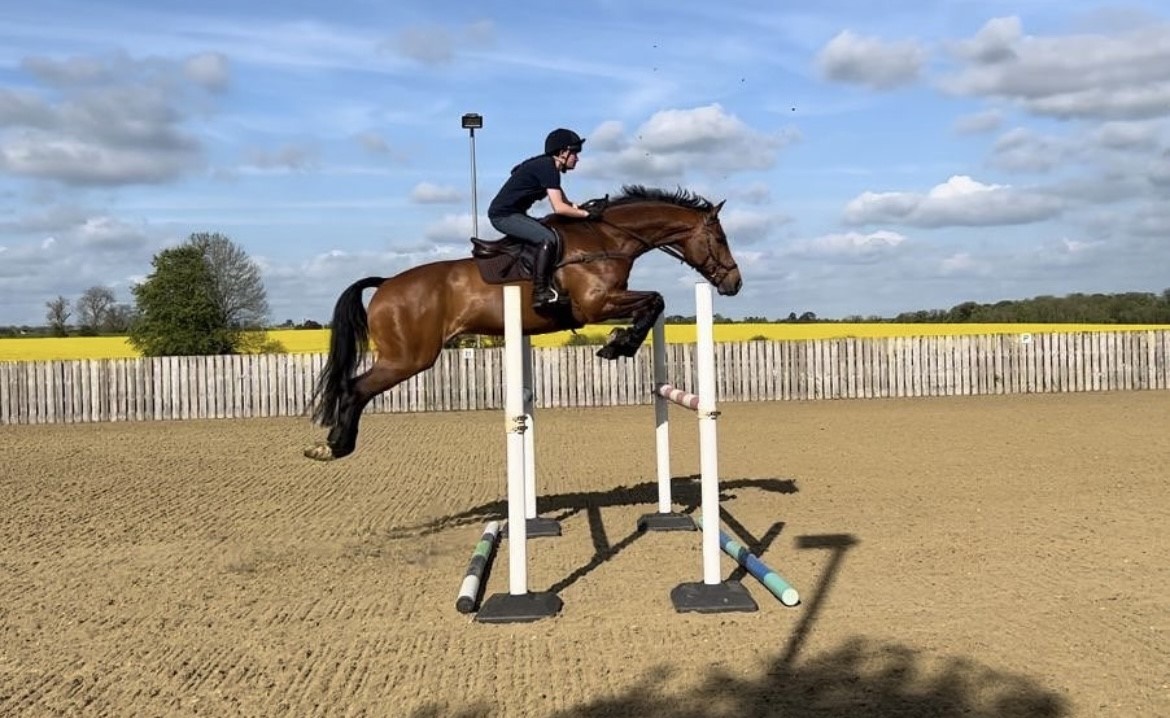 Horse jumping