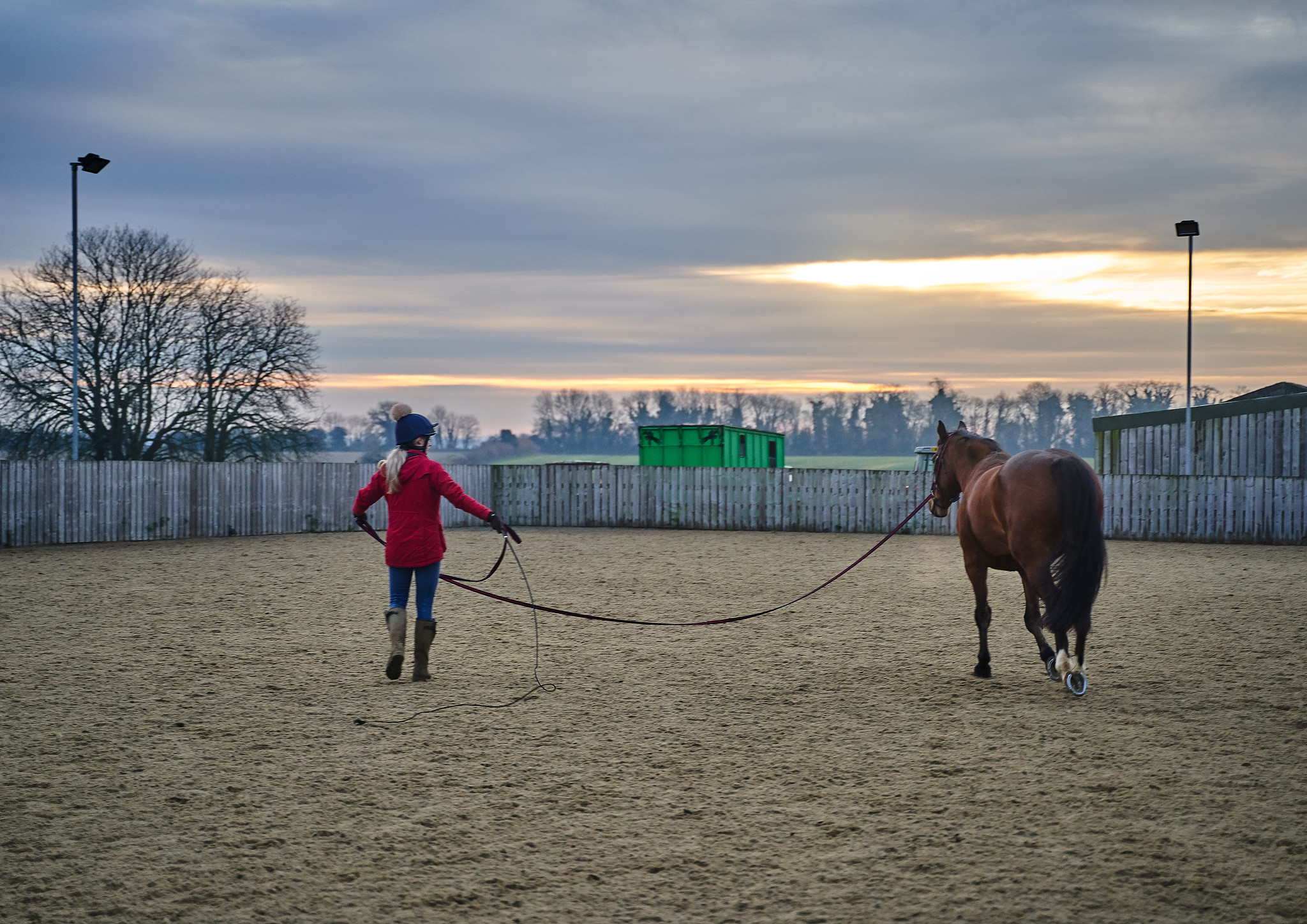 leading a horse