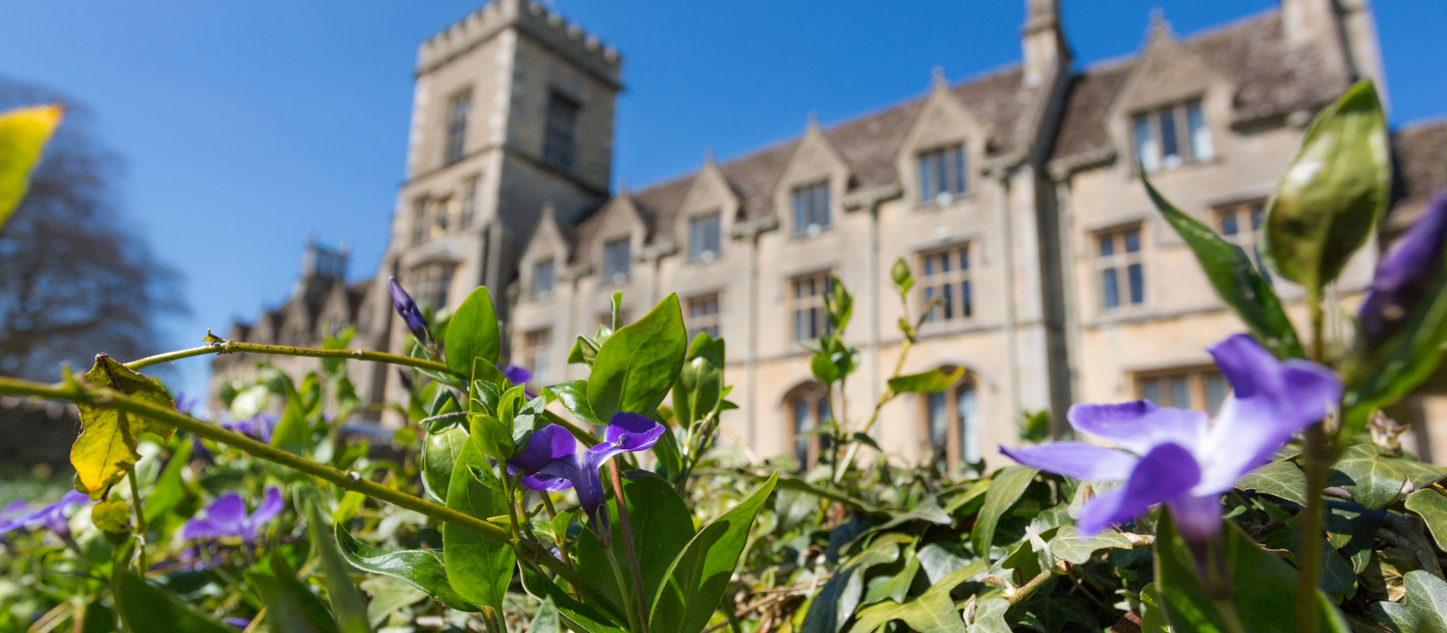 Picture of flowers in front of RAU building