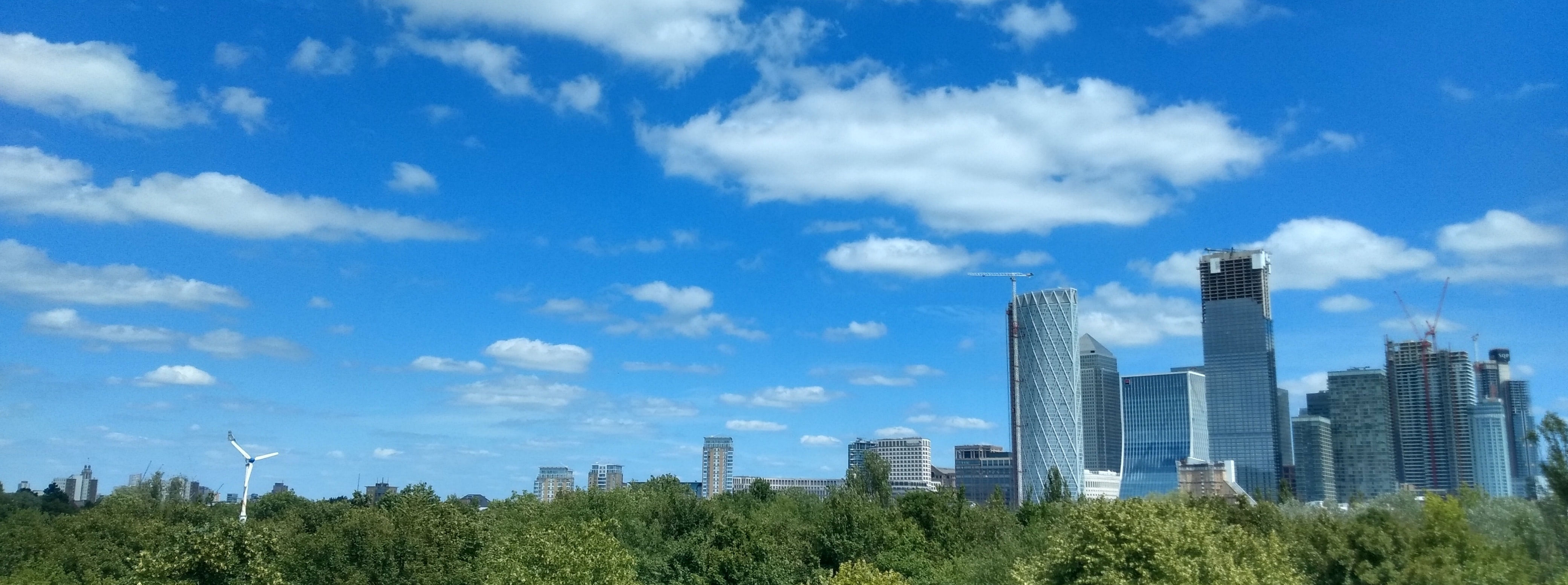 city landscape with trees