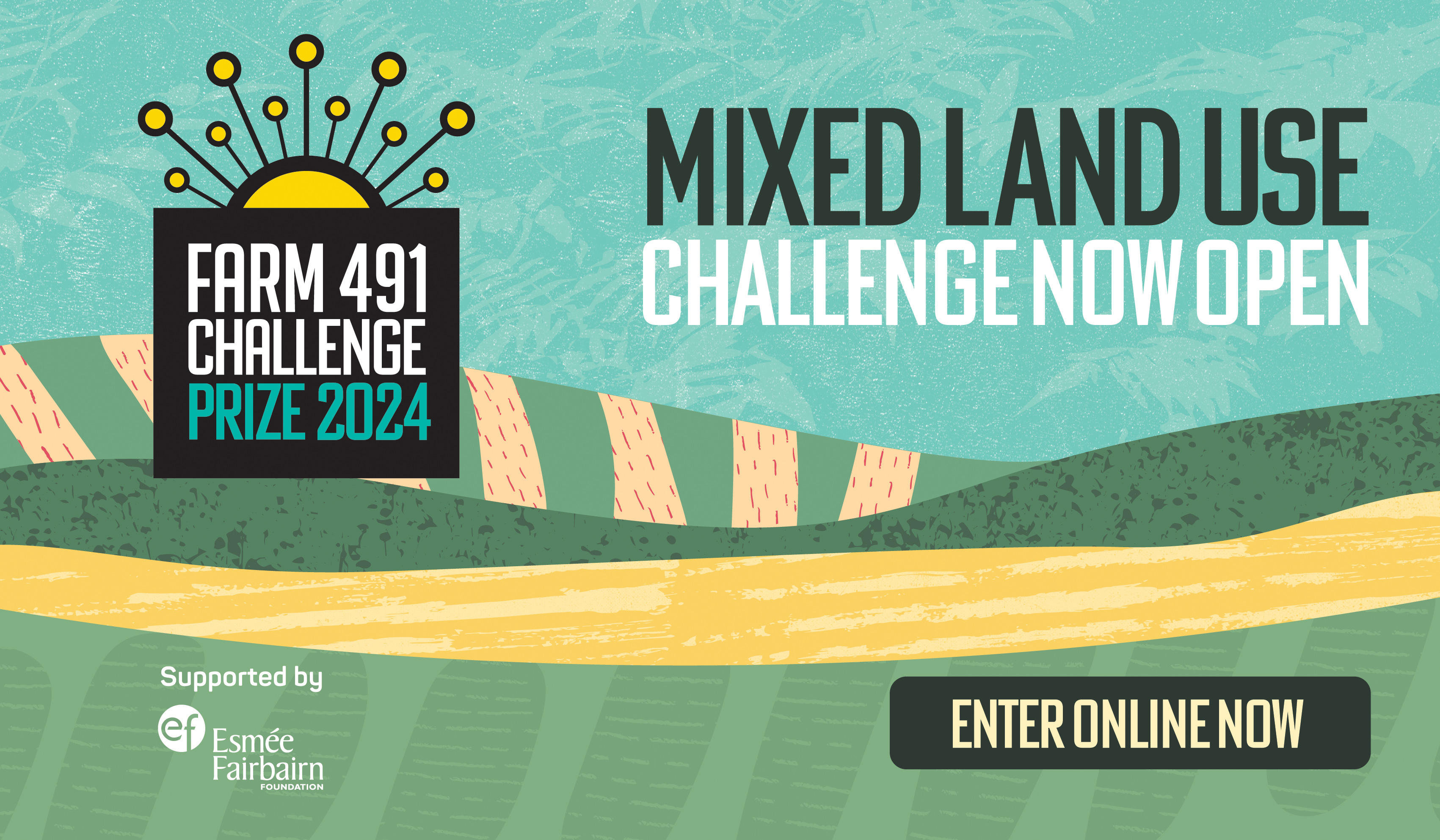 Farm 491 Challenge 2024