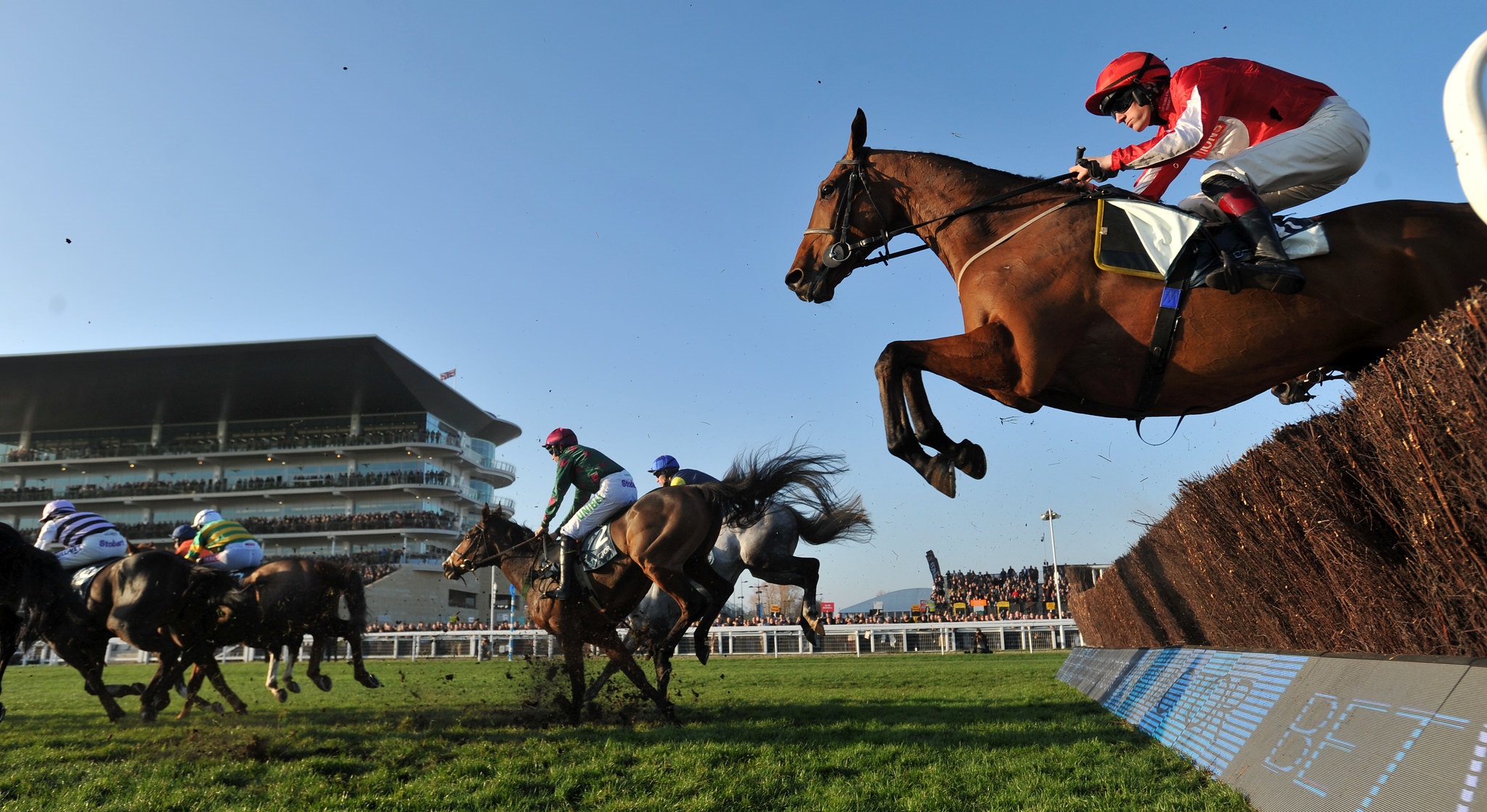 Race horse jumping a fence