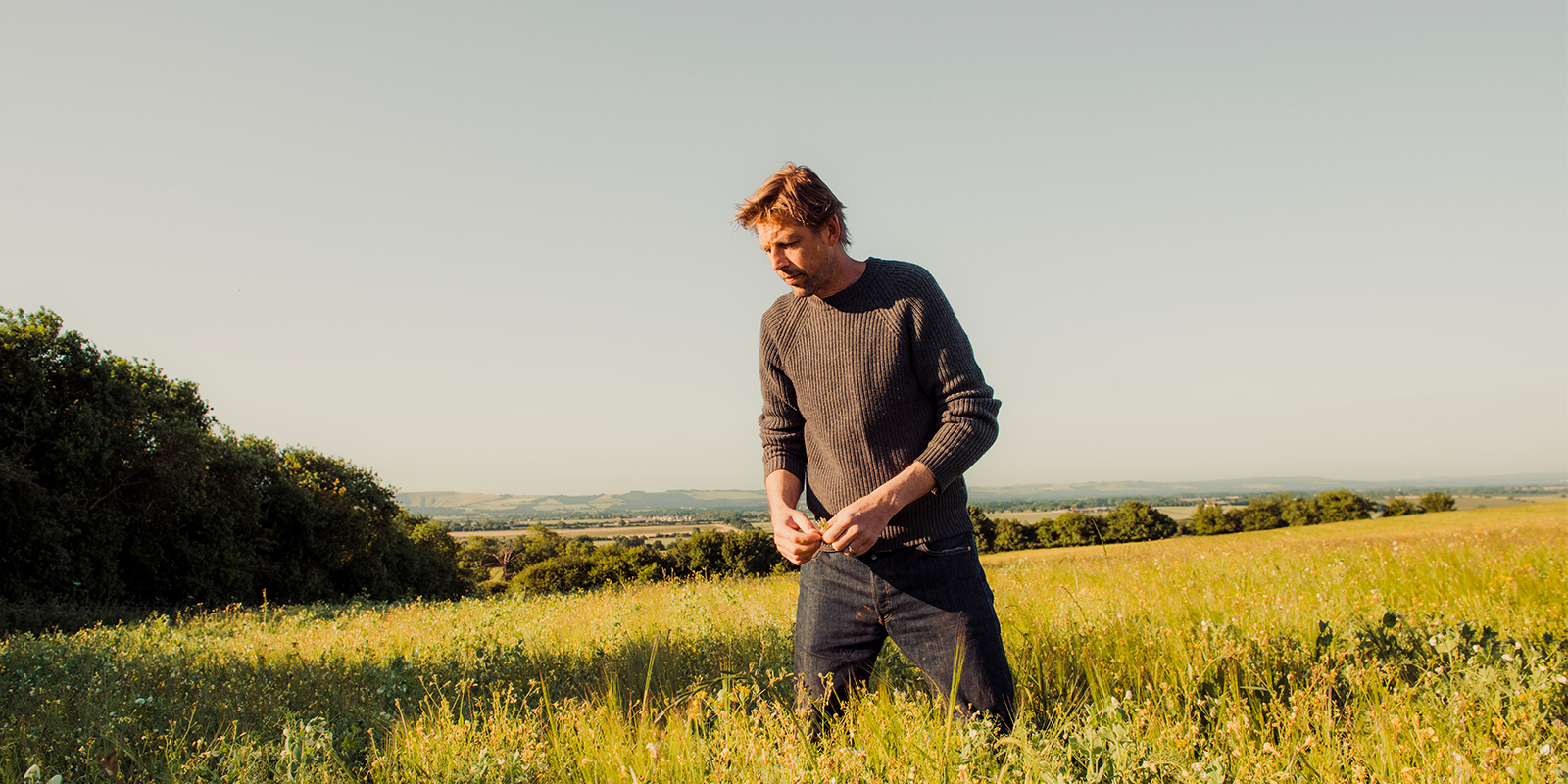 Andy Cato in a field