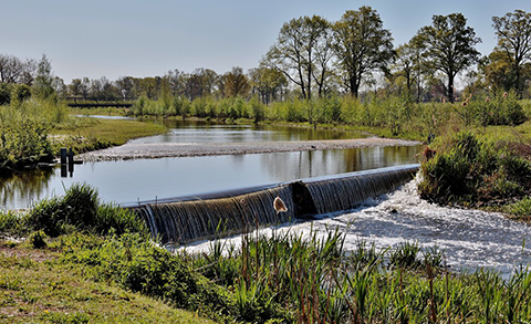 Water running into a stream