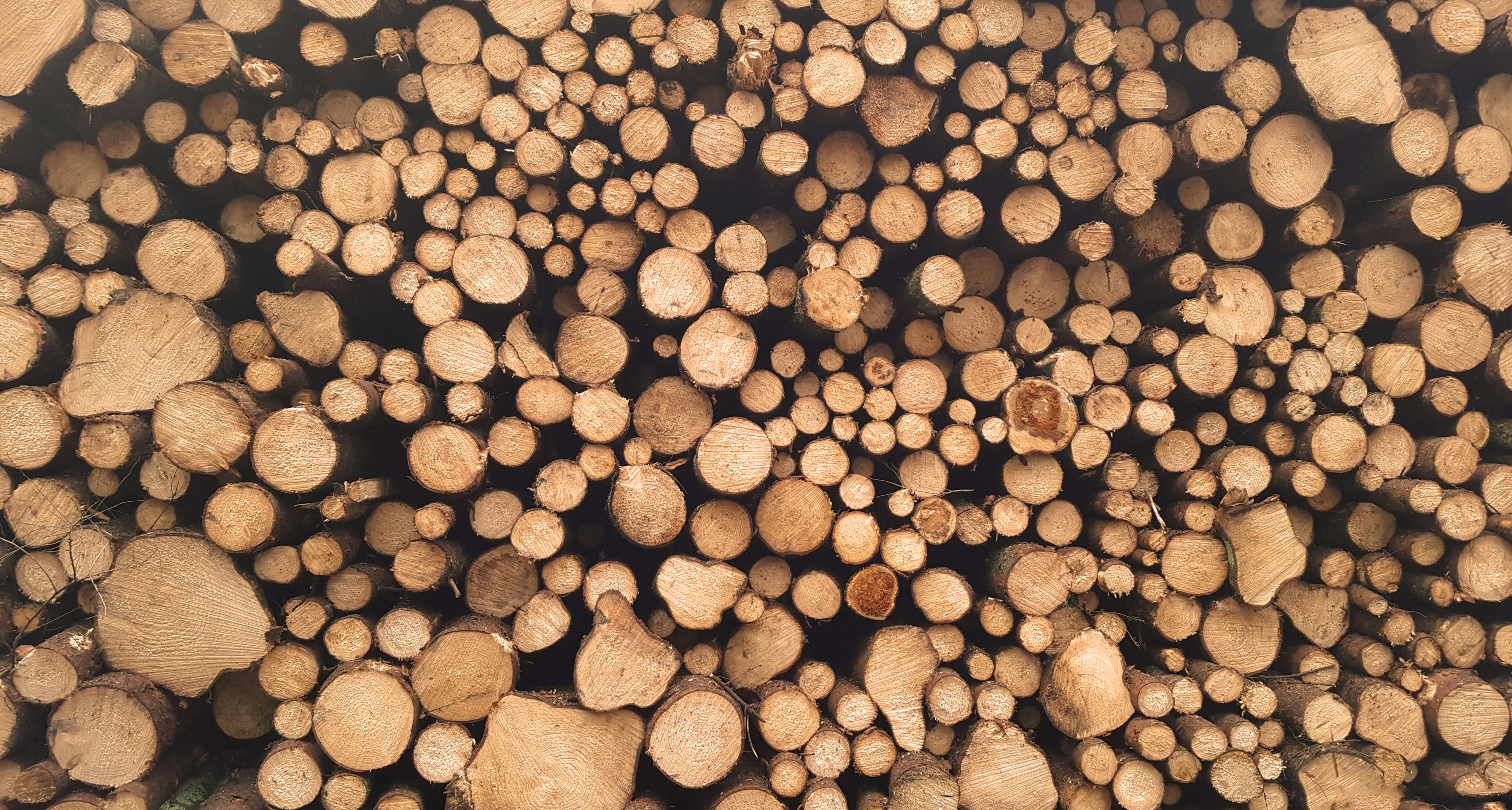 stack of coppice wood