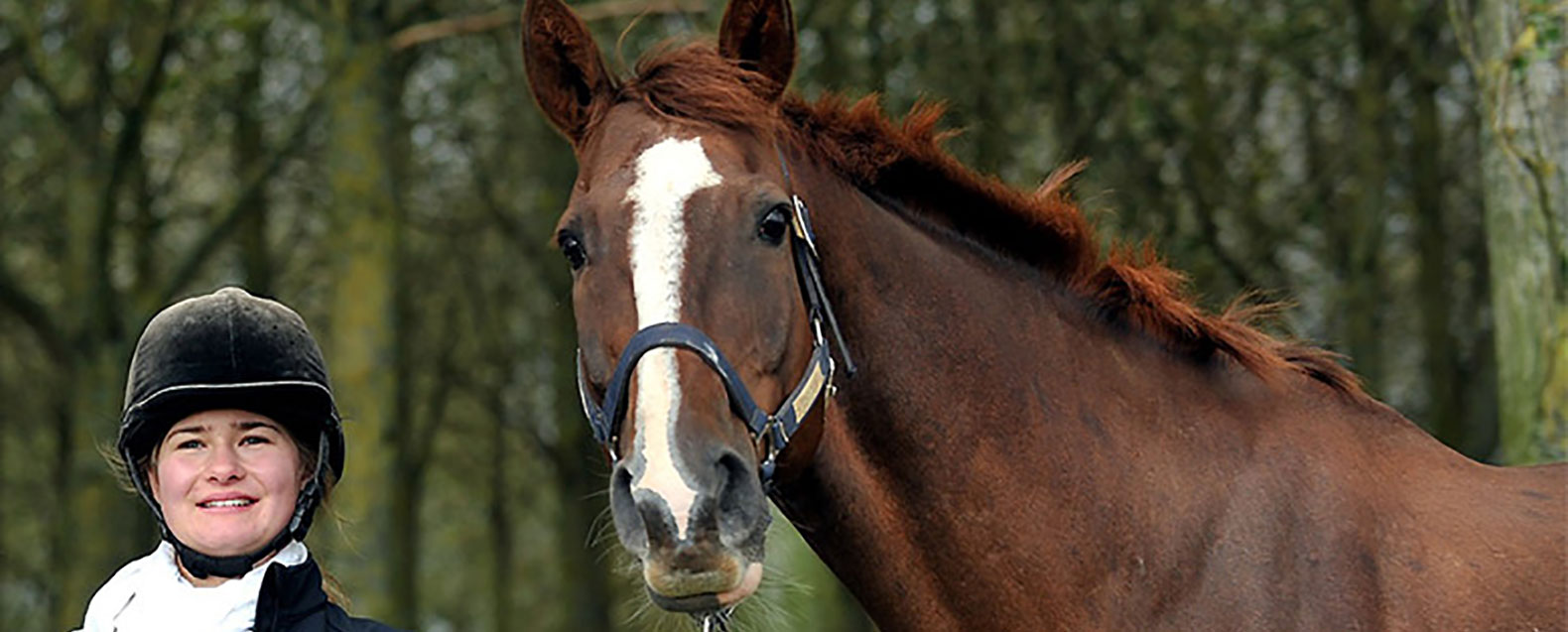 Student holding a brown horse