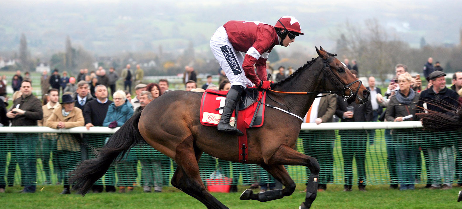racing horse with jockey