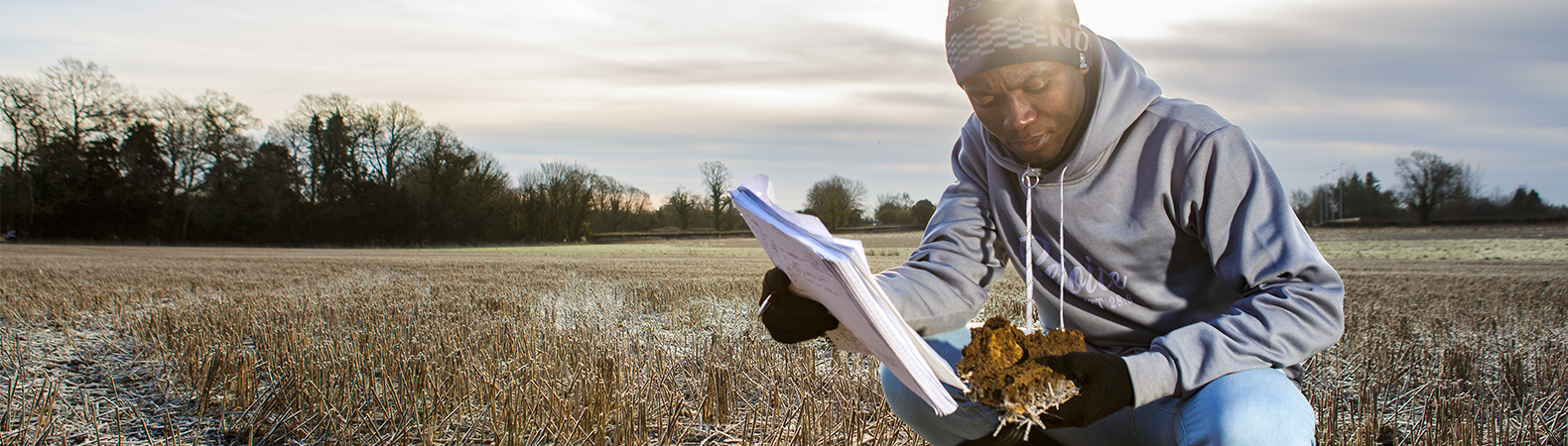 A person carrying out research in a crop field