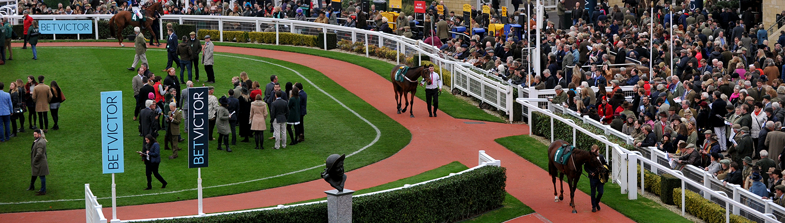 horses parading at the races