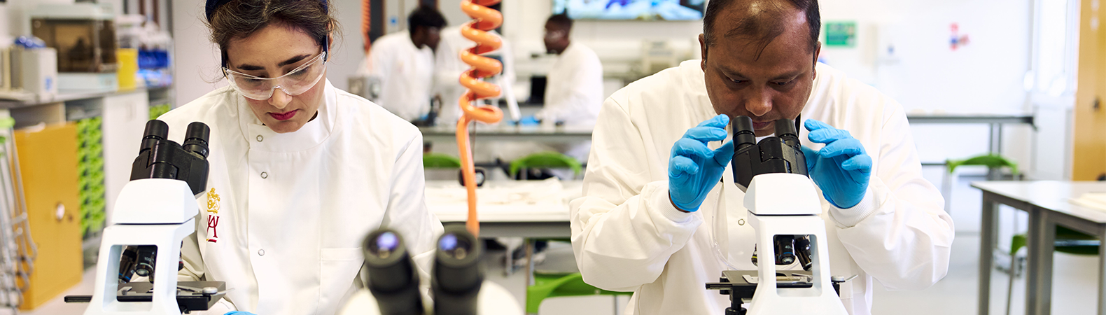 Two people in a science laboratory using scientific equipment