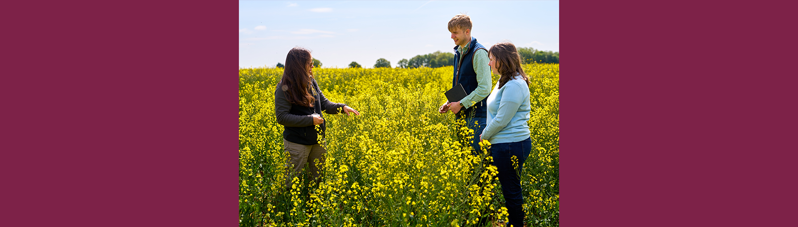 Dr Karen Rial-Lovera and two students in a crop field