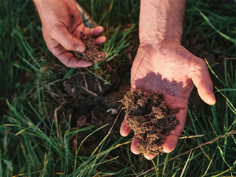 A hand holding soil