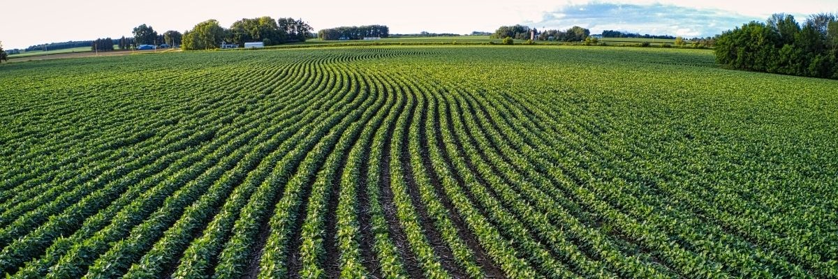 Bowyer Family Memorial Trust Scholarship