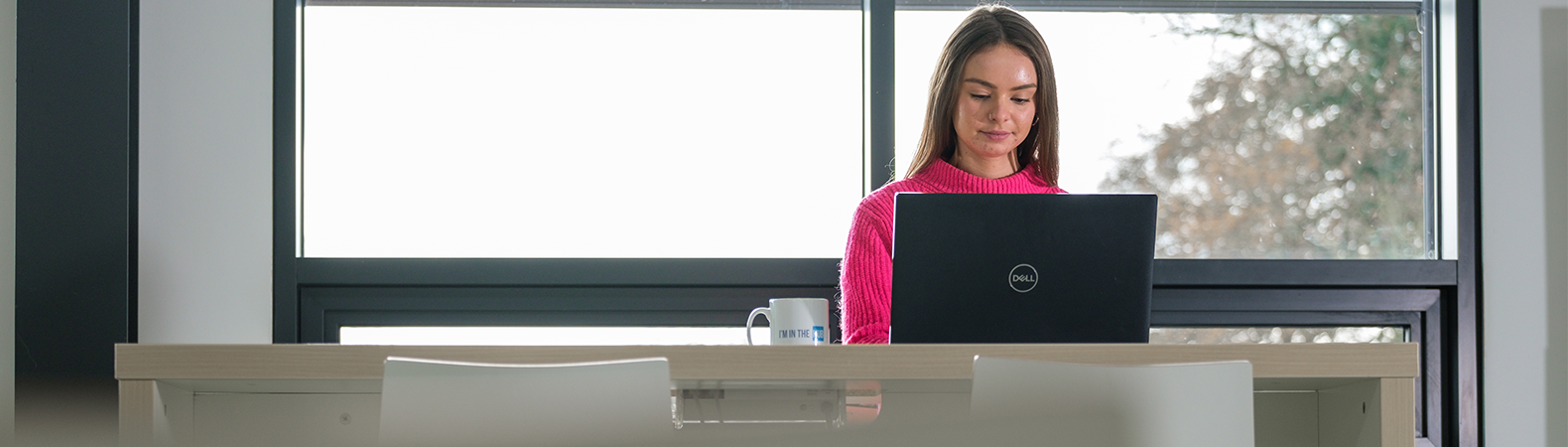 Student using a laptop