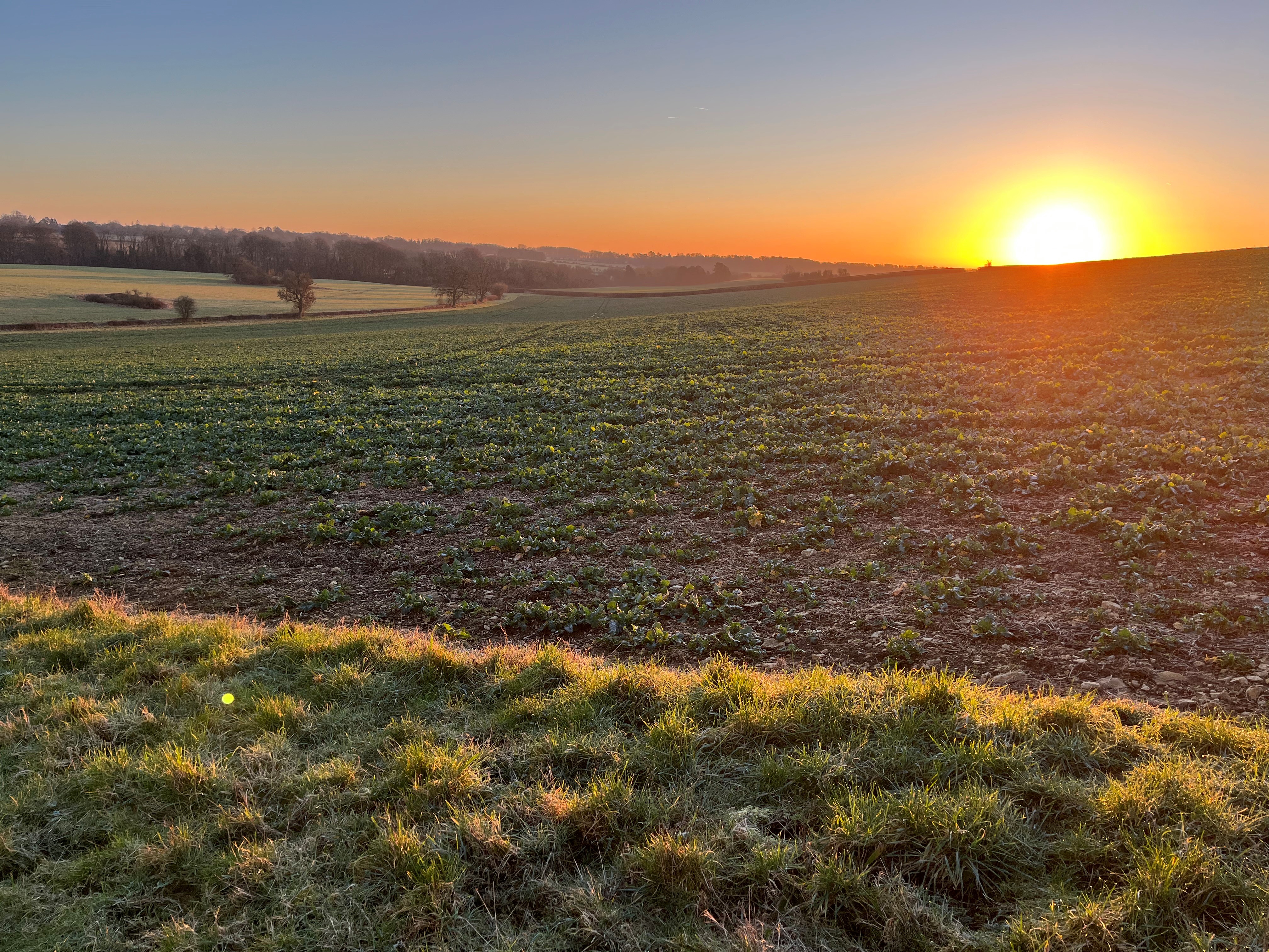 Sunrise over fields 