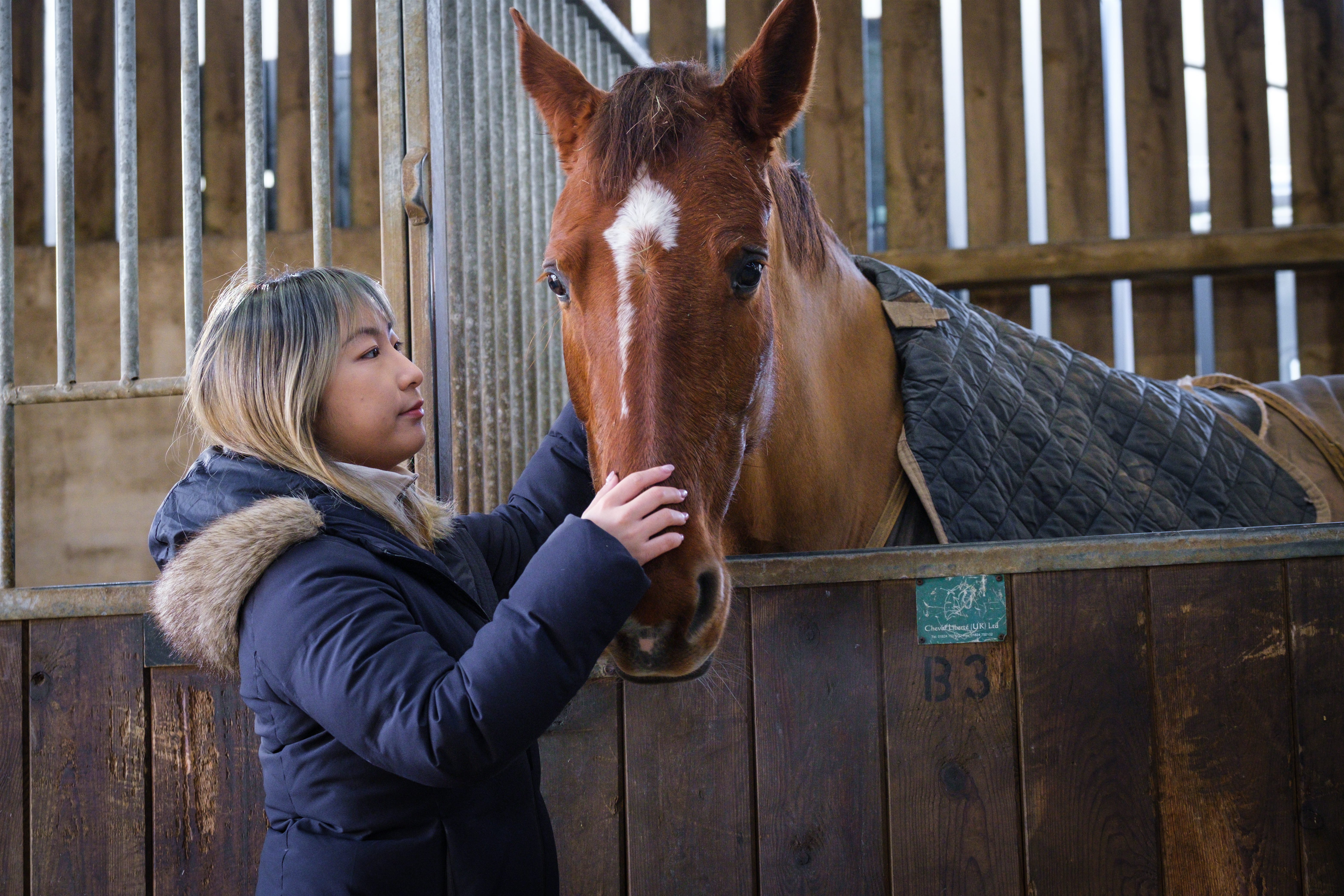 A student with a horse in a stable