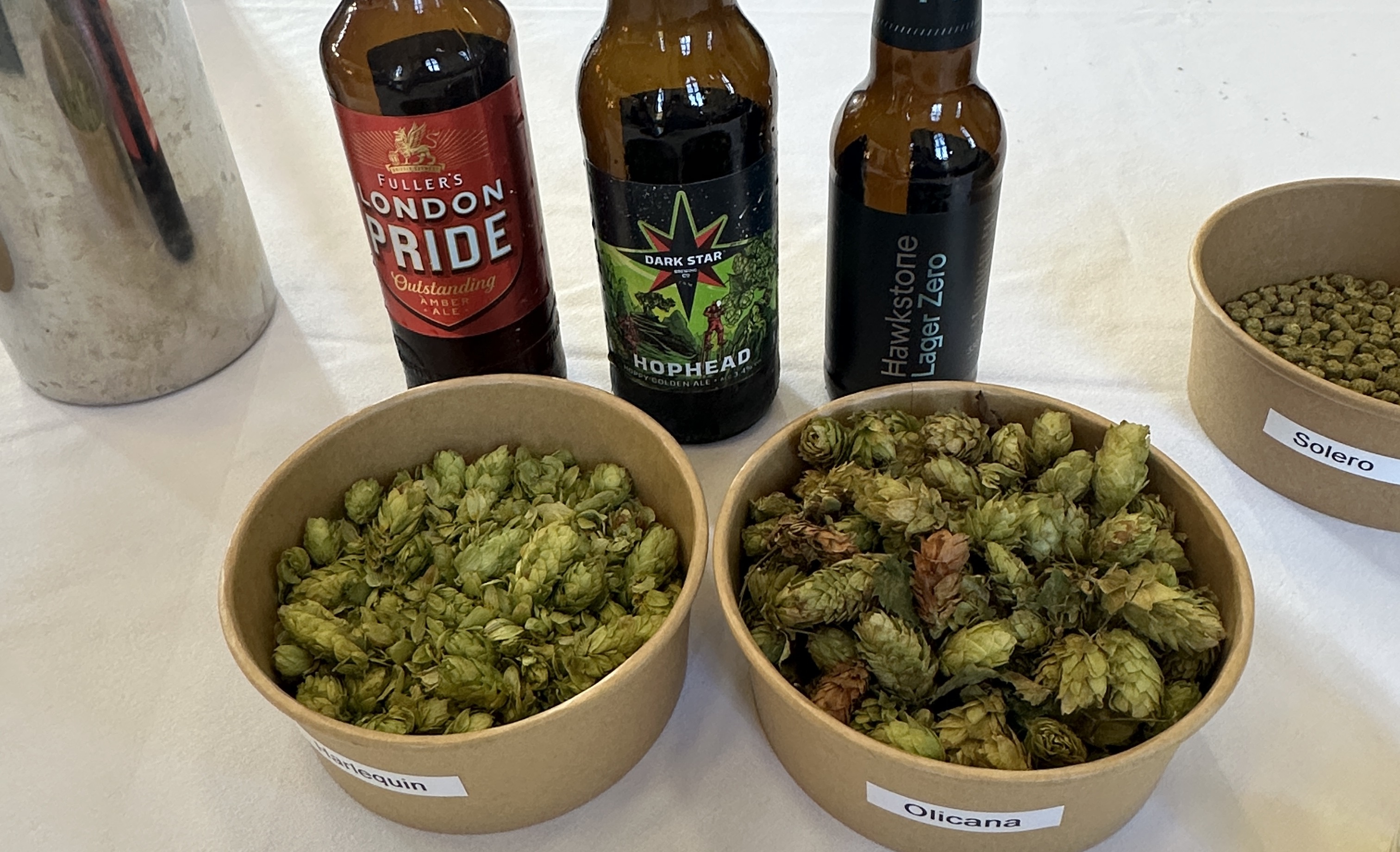 Tubs of British hops and bottles of British beer