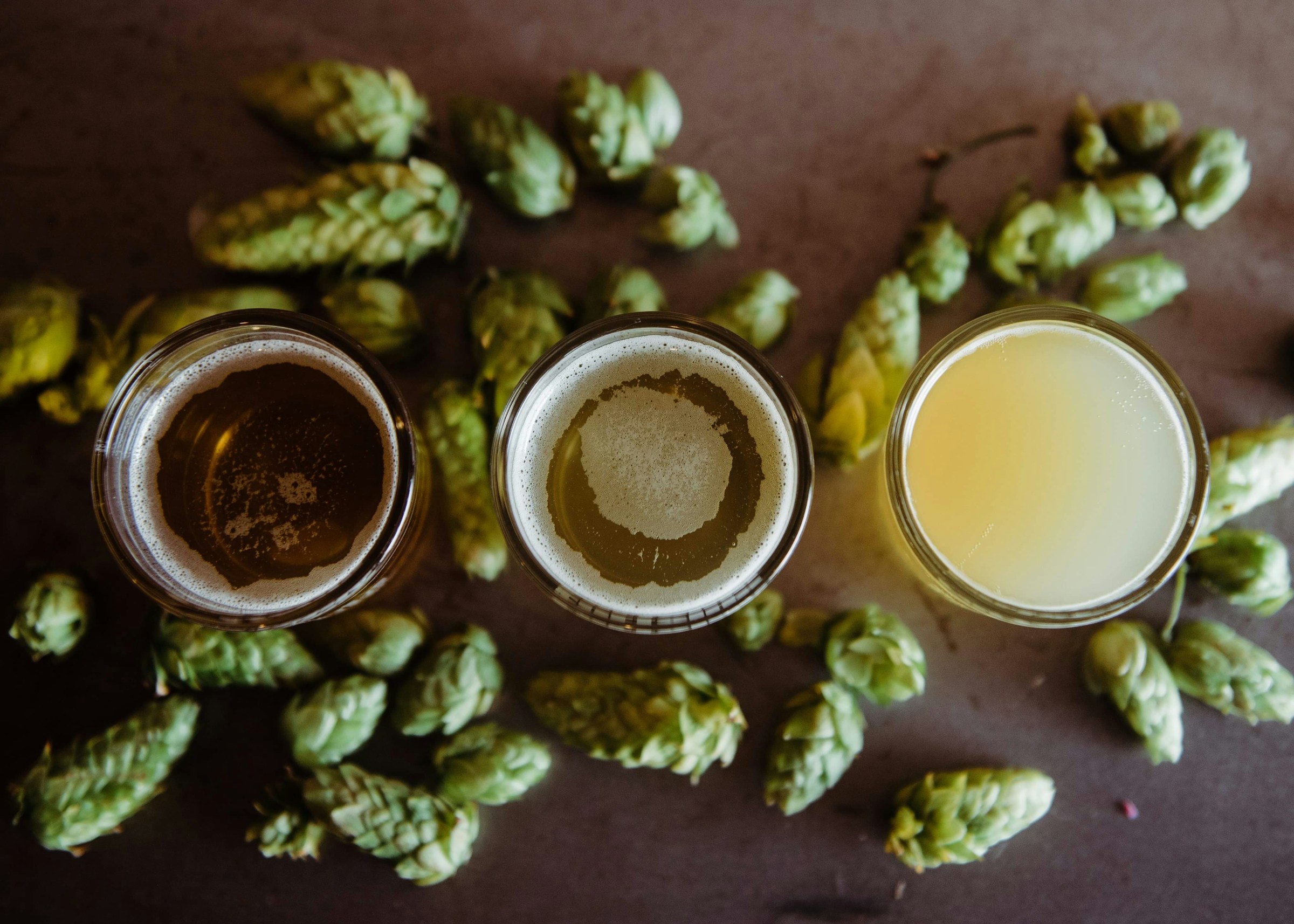 beer surrounded by hops