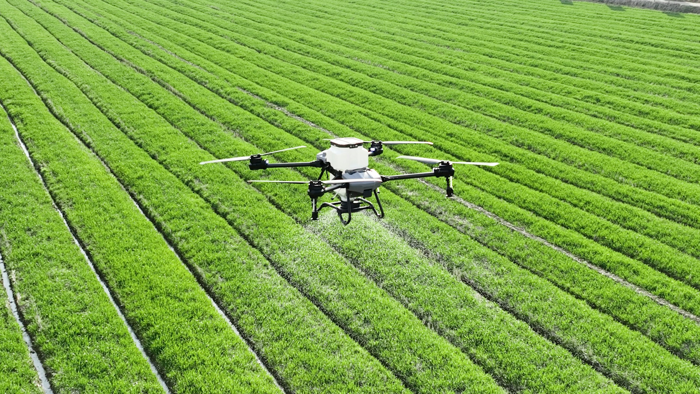 Drone over a field