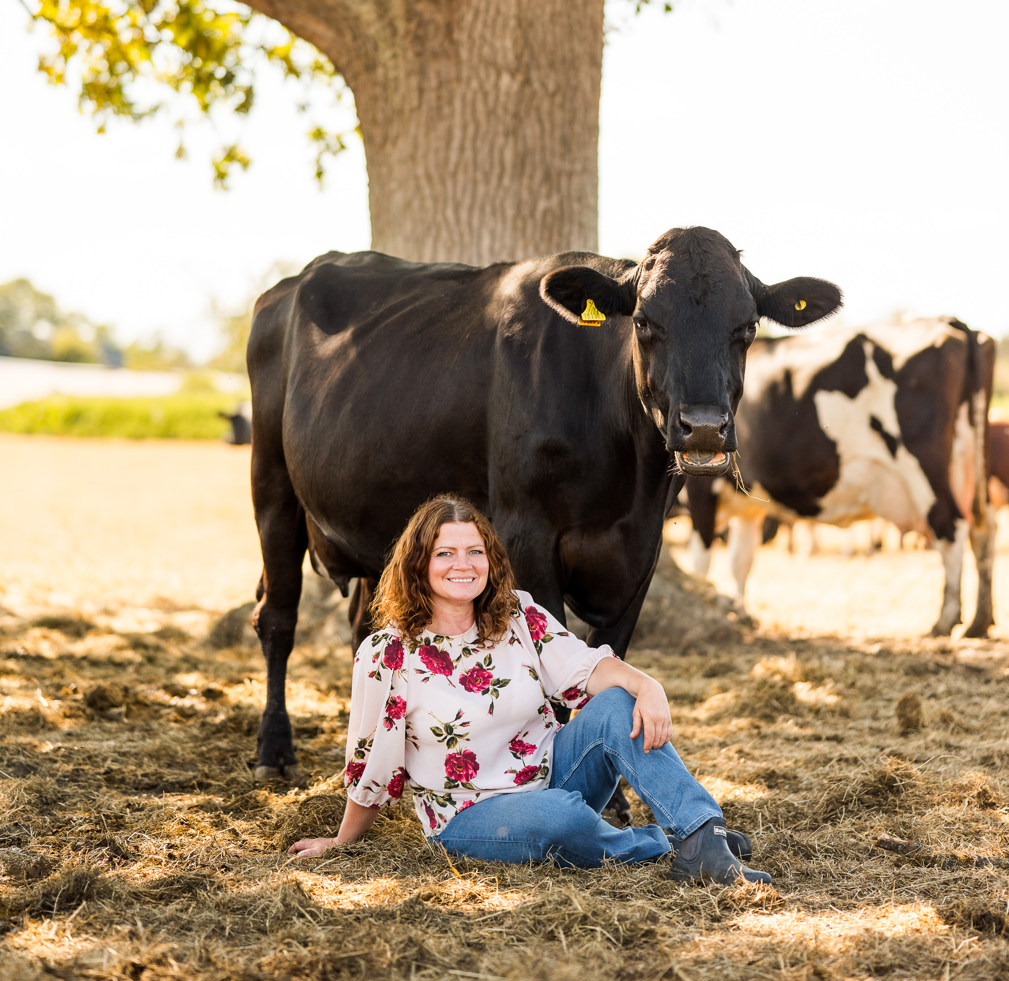 Woman seated next to standing cow