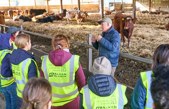 cows in background with students looking on in high vis jackets listening to lecturer