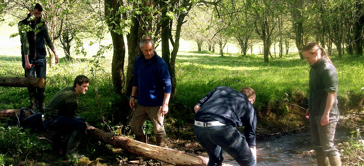 Students carrying out conservation work on a stream