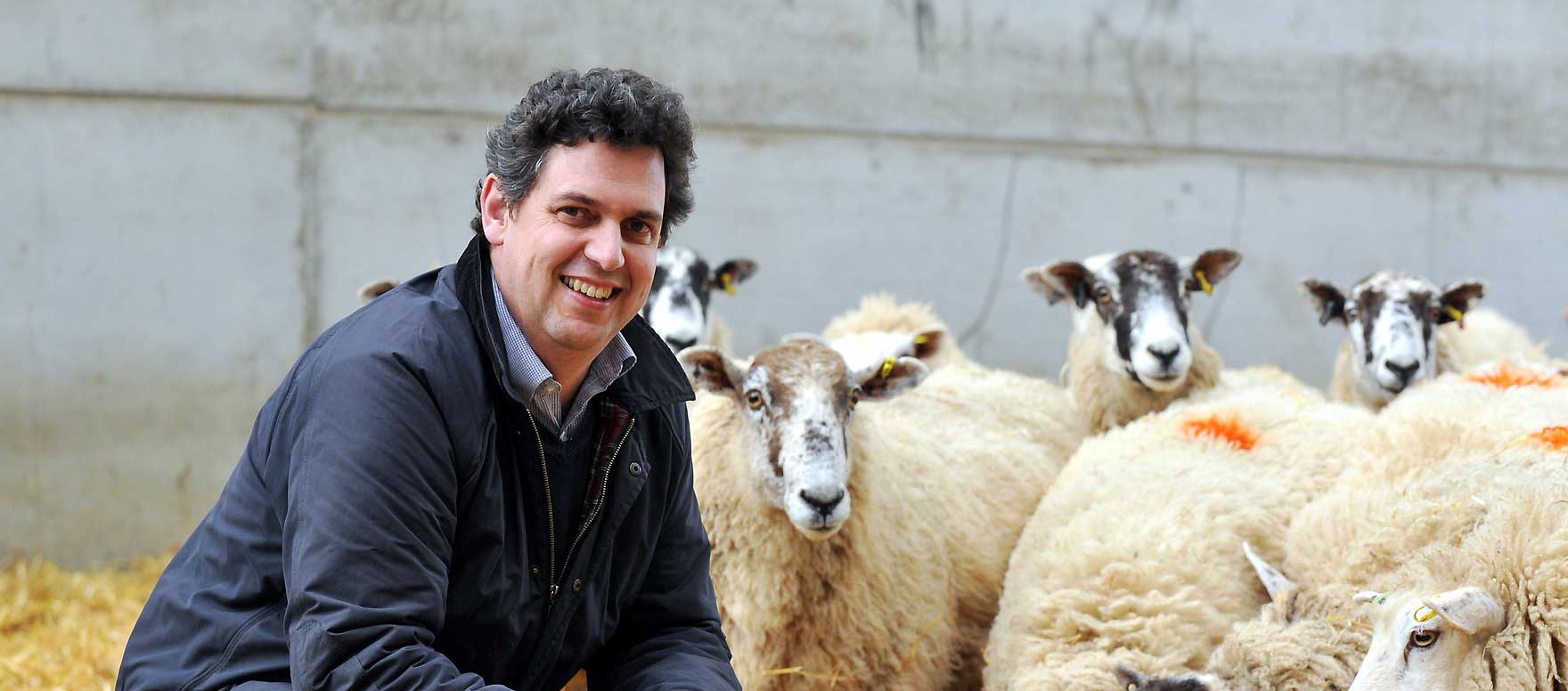 Professor David Main