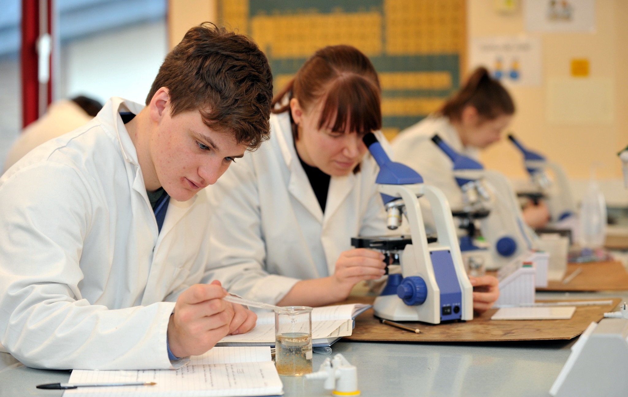 Students in the laboratory