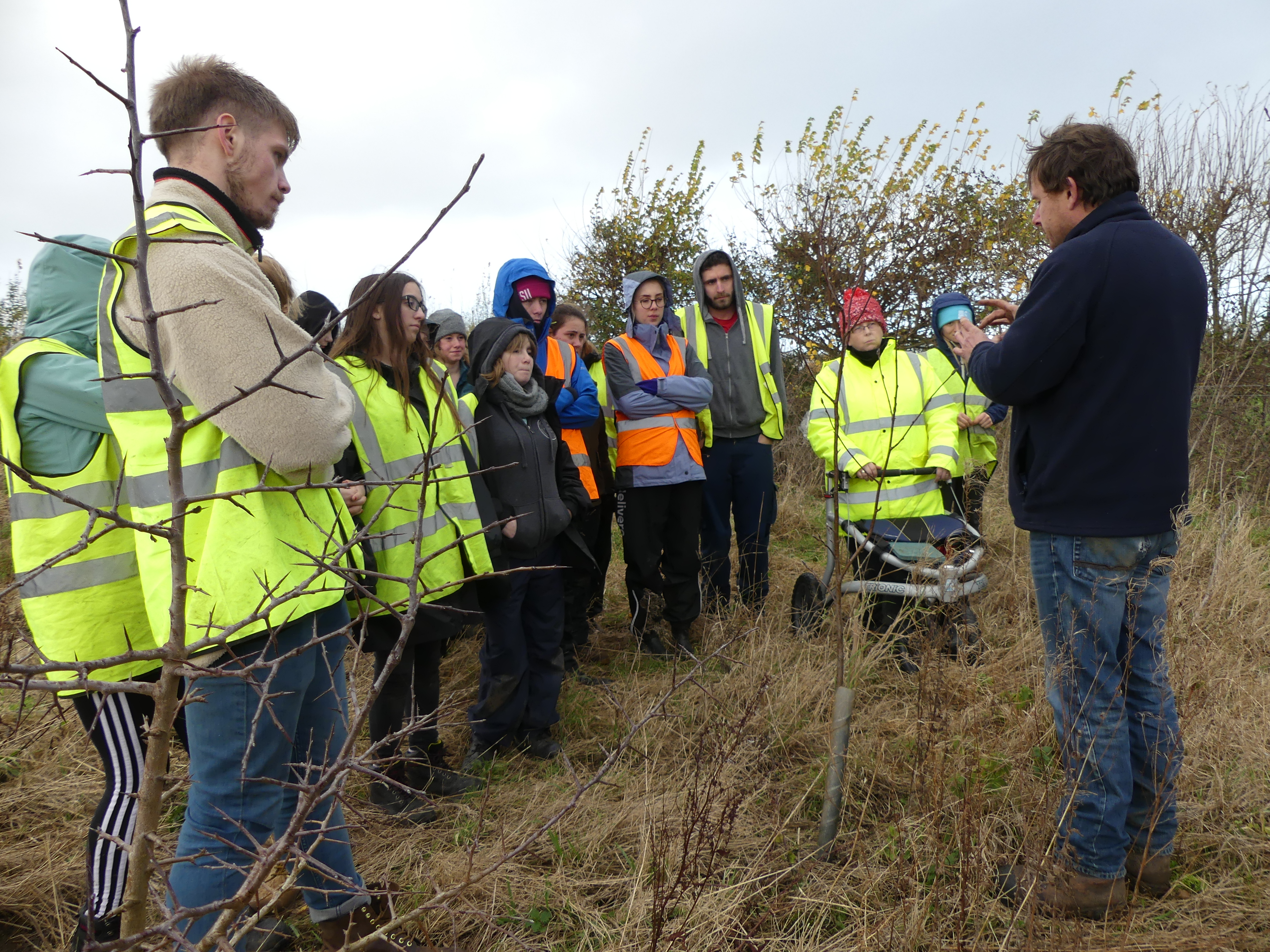 Environment students get planting for National Tree Week