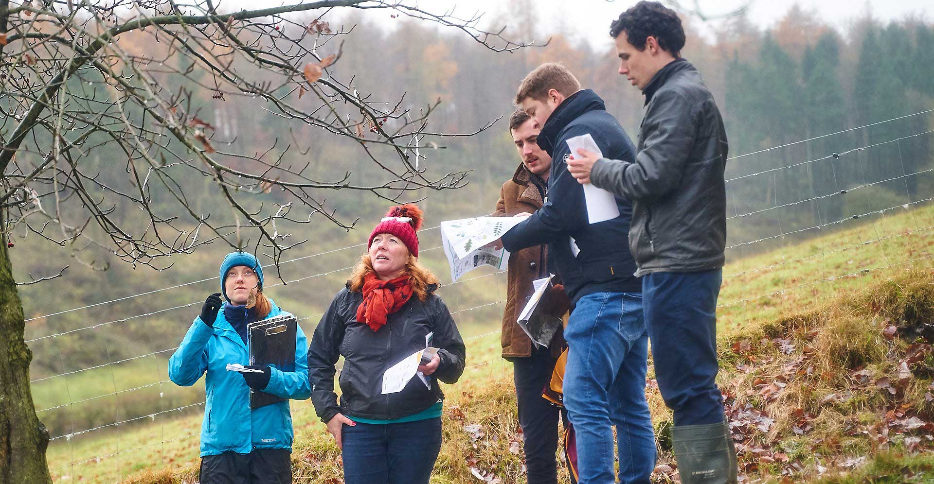 Students studying a woodland