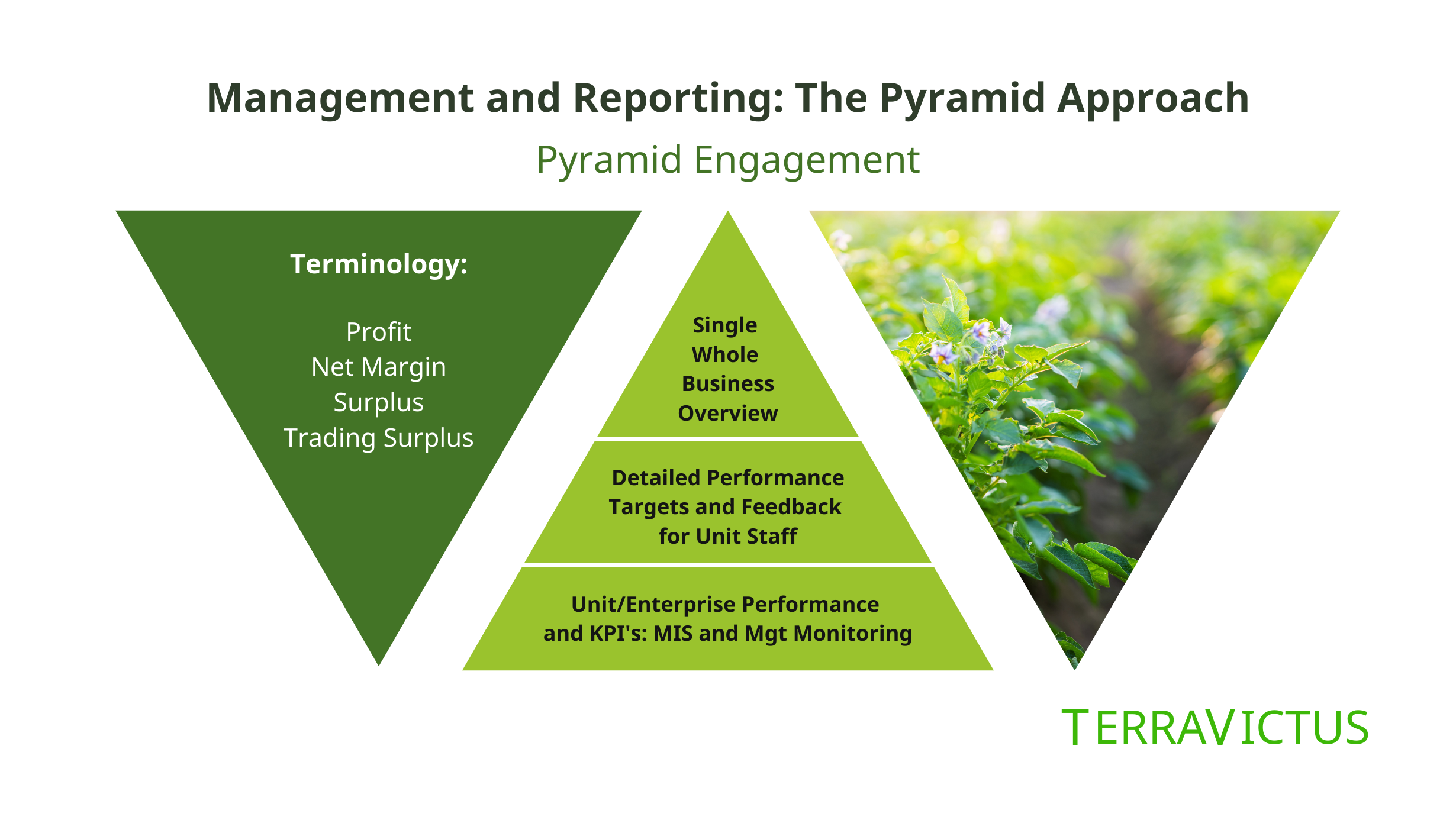 Management and reporting, the pyramid approach. Pyramid engagement. Triangle 1:Terminology: profit, net margin, surplus, trading surplus. Triangle 2: Single whole business overview, detailed performance, targets and feedback for unit staff, unit/enterprise performance and kpis: mis and mgt monitoring.